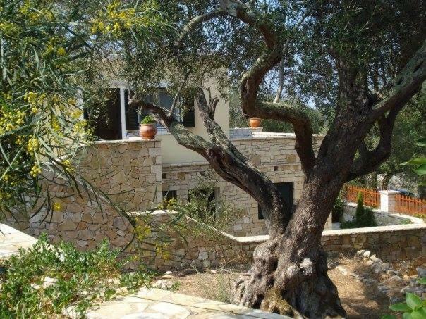Villa Loulaki Magazia Paxi Arvanitakeika Extérieur photo